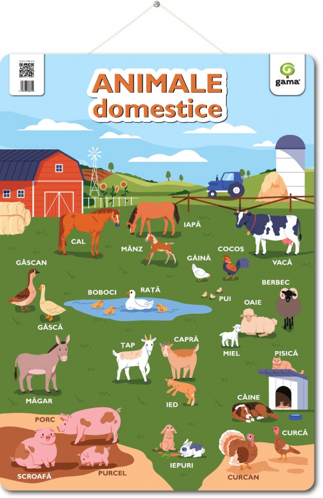 Animale domestice  Postere