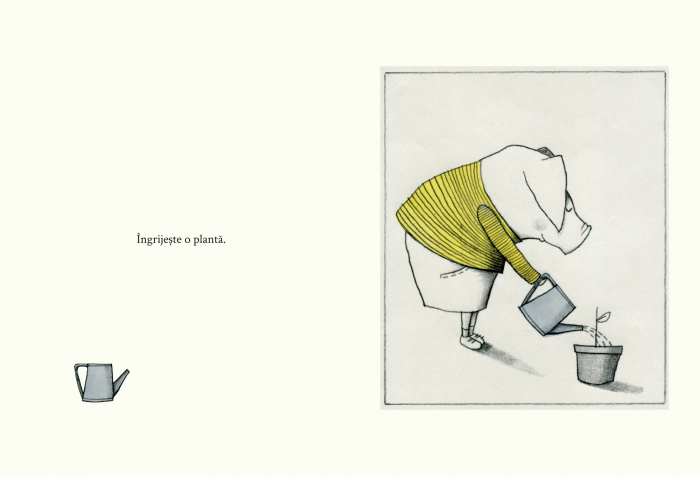 Carticica bunatatii, DPH, 3 ani + [5]