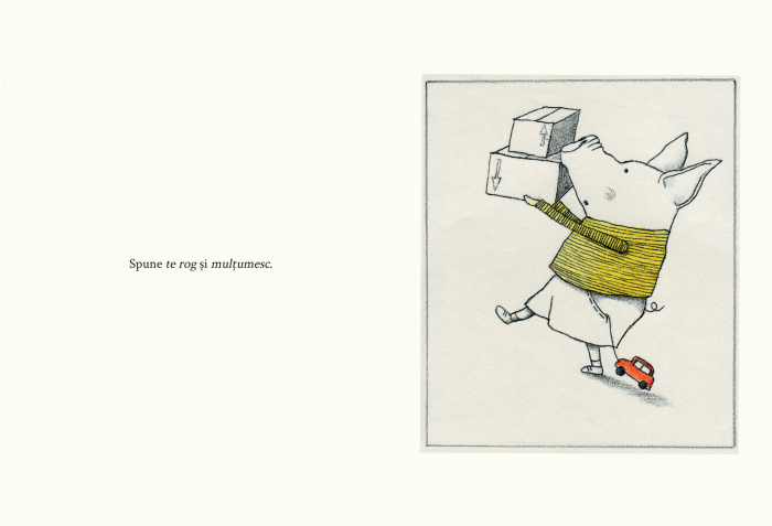 Carticica bunatatii, DPH, 3 ani + [3]