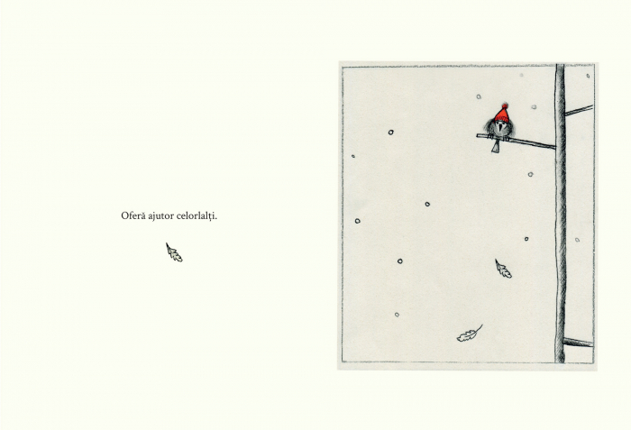 Carticica bunatatii, DPH, 3 ani + [4]