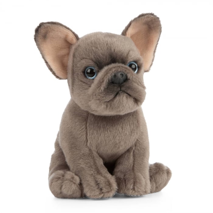 Catelus de plus Bulldog francez, 16 cm, Living Nature