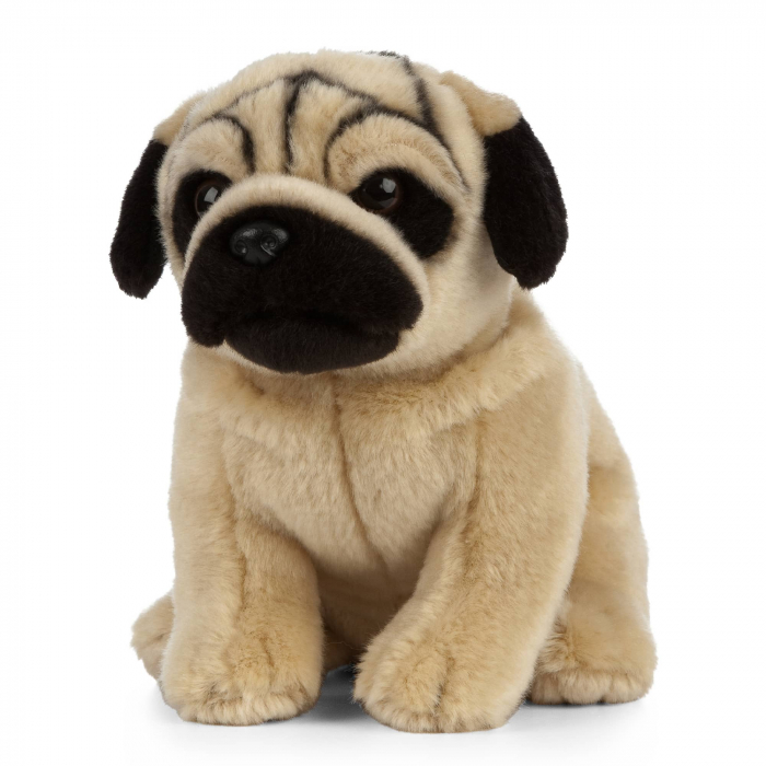 Catelus de plus Pug, 20 cm, Living Nature [3]