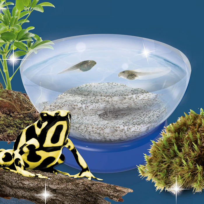 Experimentele micului geniu - Habitate si ecosisteme [3]