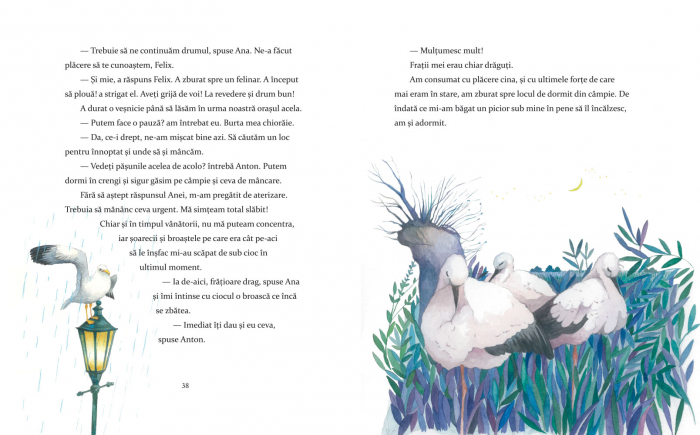 Incotro zbori, micuta barza? [4]