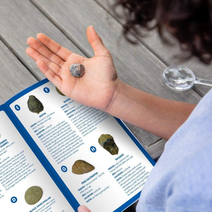 Joc educativ GeoSafari, Kit excavare fosile, Educational Insights, 6-7 ani + [11]