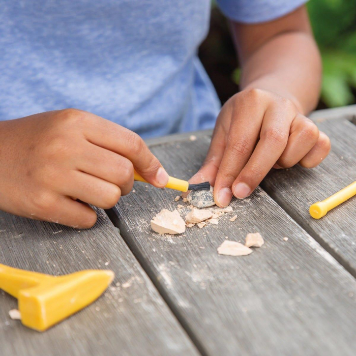 Joc educativ GeoSafari, Kit excavare fosile, Educational Insights, 6-7 ani + [9]