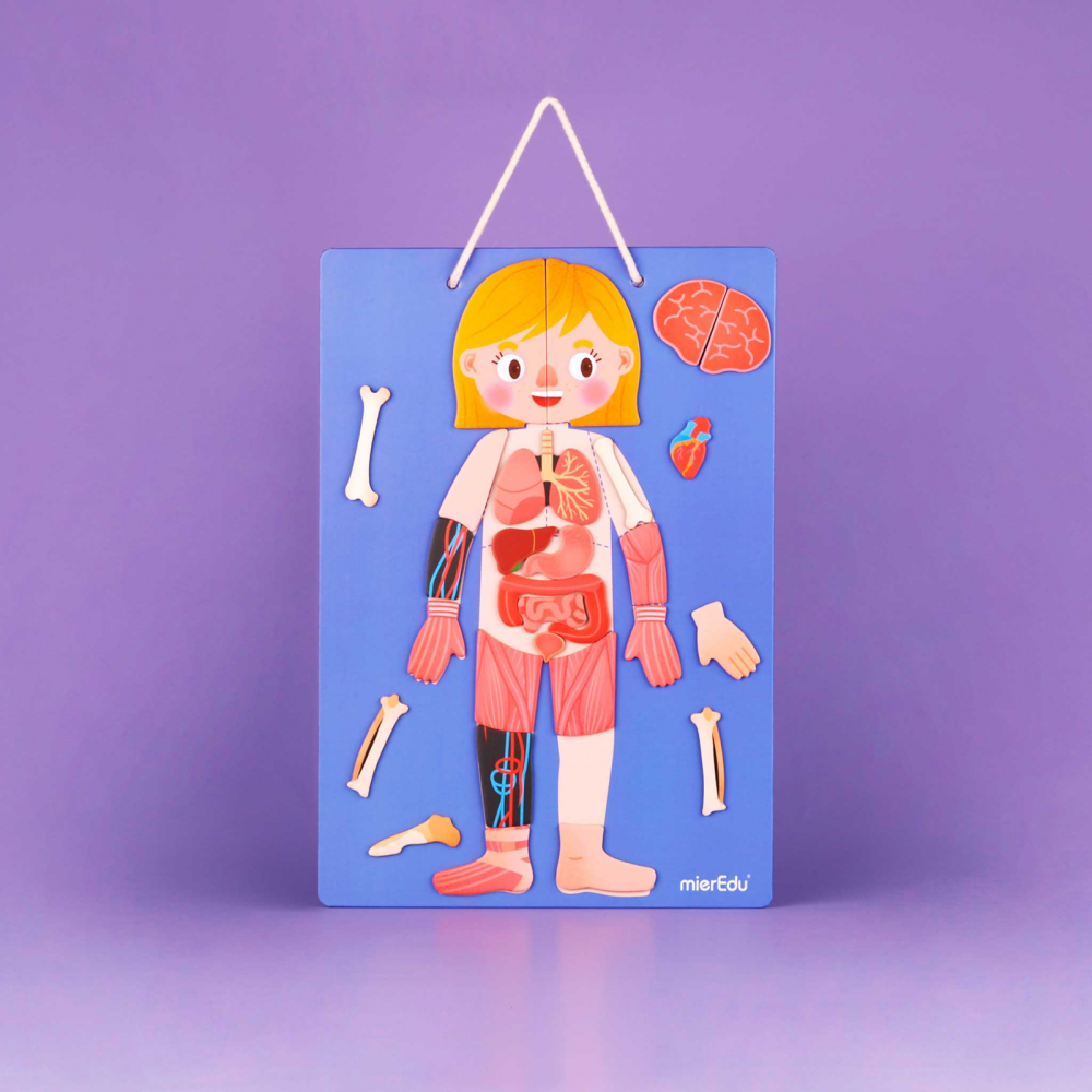 Joc educativ magnetic - Totul despre Corp si Emotii [6]