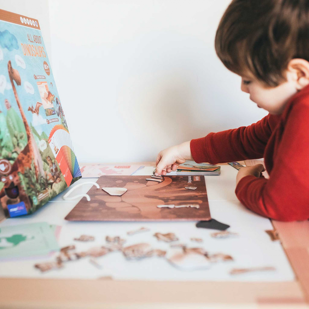 Joc educativ magnetic - Totul despre Dinozauri [5]