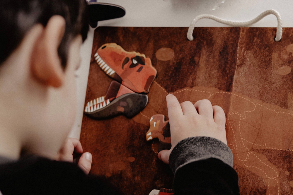 Joc magnetic educativ - Tyrannosaurus Rex [2]