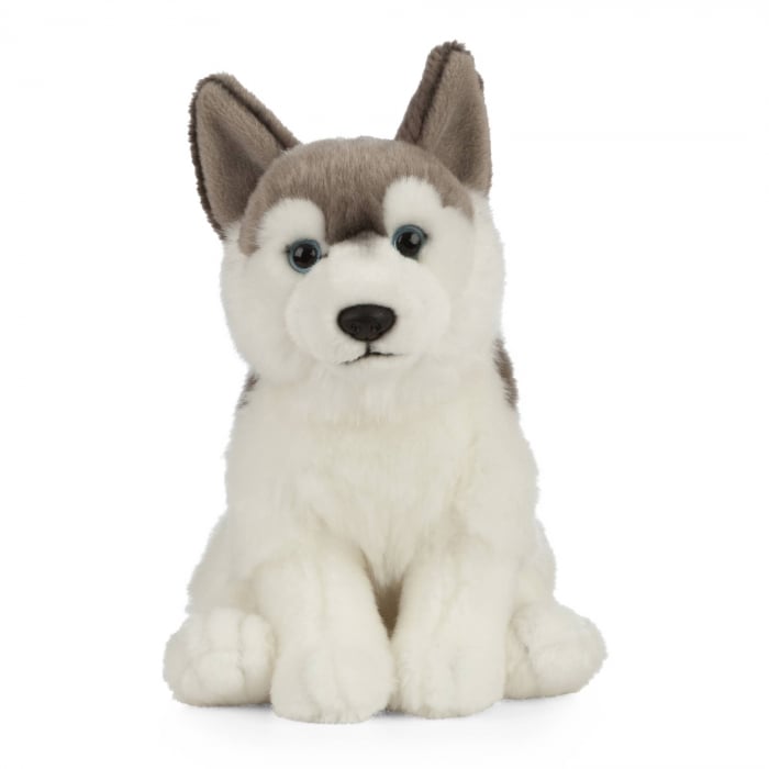 Jucarie de plus catel Husky, 20 cm, Living Nature