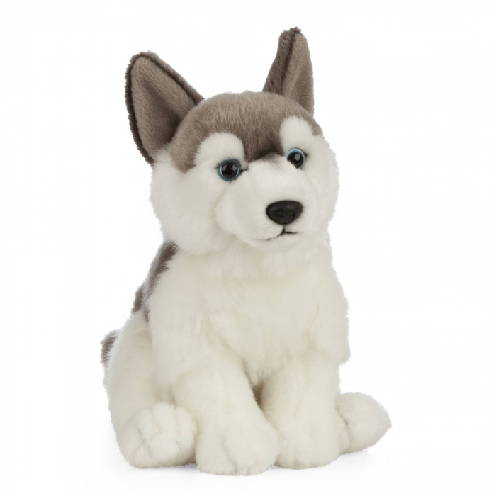 Jucarie de plus catel Husky, 20 cm, Living Nature [2]