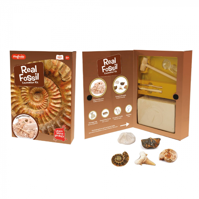 Kit paleontologie - Descopera fosile, Magnoidz, +6 ani [3]