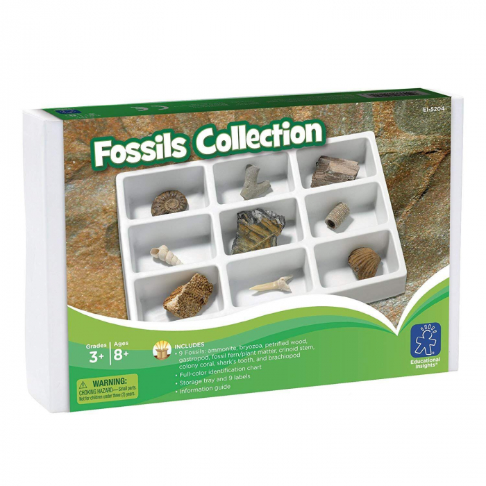 Kit paleontologie - Fosile, Educational Insights, 8-9 ani + [2]