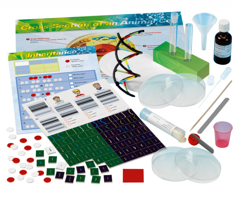 Kit STEM Laboratorul de genetica, Thames & Kosmos [4]