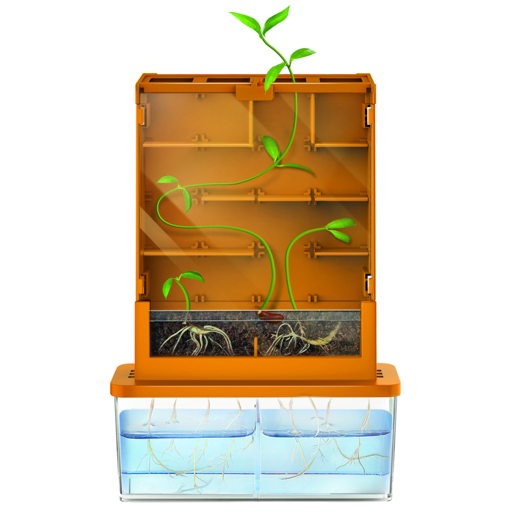 Kit stiintific - Creste un Labirint, Stiinta Verde - Green Science [2]