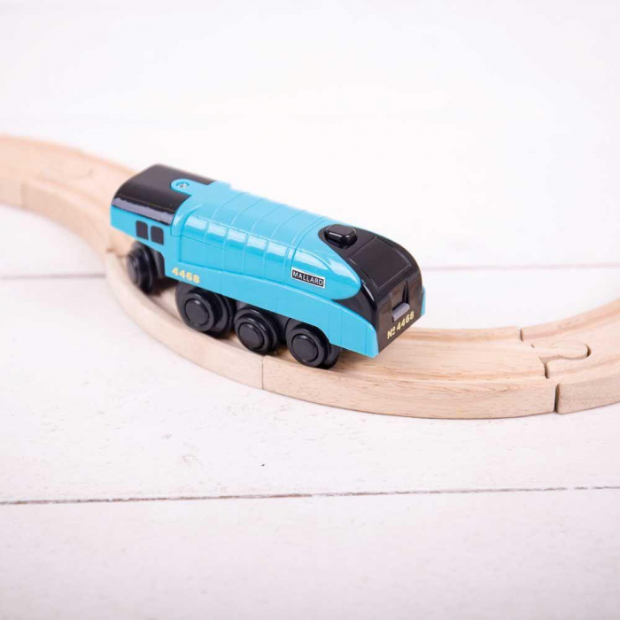 Locomotiva Electrica, BIGJIGS Toys, 2-3 ani + [3]