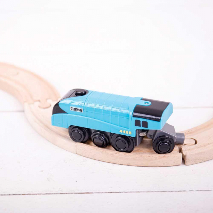 Locomotiva Electrica, BIGJIGS Toys, 2-3 ani + [4]