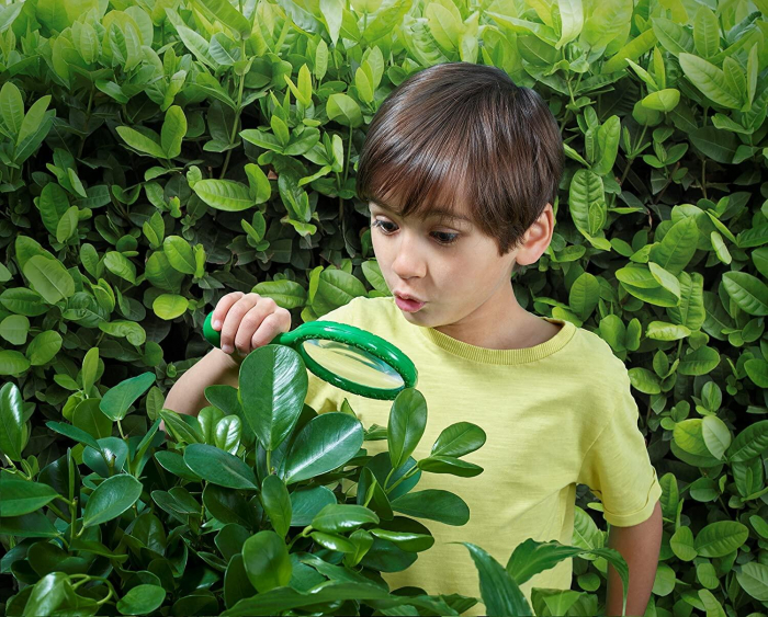 Lupa exploratorului, Brainstorm, 2-3 ani + [3]