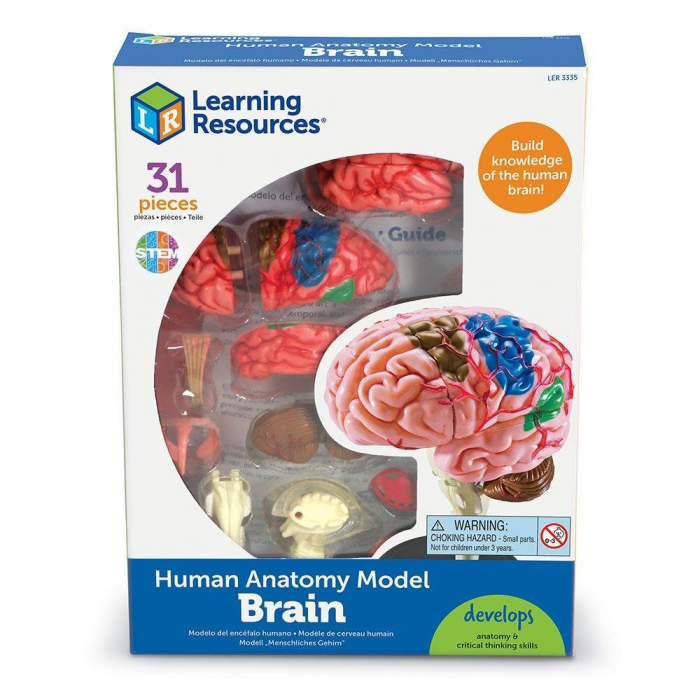 Macheta creierul uman, Learning Resources, 8-9 ani + [6]