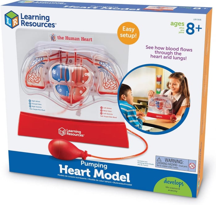 Macheta inima - Pomparea sangelui, Learning Resources, 8-9 ani + [4]