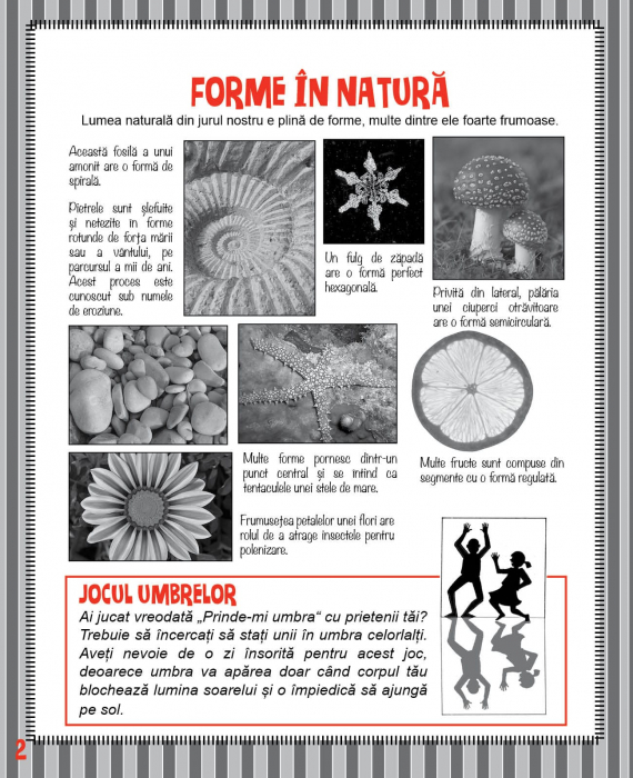 Matemagia - Forme: Cum sa le construiesti si povestile din spatele lor, DPH, 6-7 ani + [4]