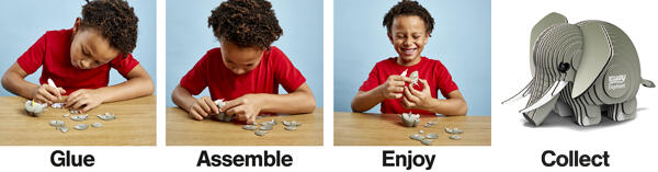 Model 3D - Elefant, Brainstorm, 6-7 ani + [9]