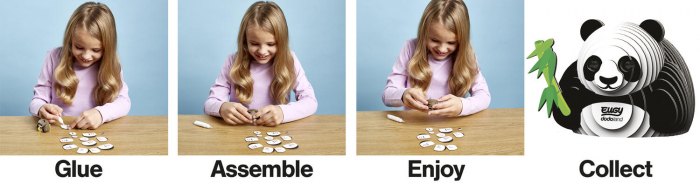 Model 3D- Panda, Brainstorm, 6-7 ani + [6]