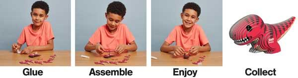 Model 3D - Tyrannosaurus Rex, Brainstorm, 6-7 ani + [9]