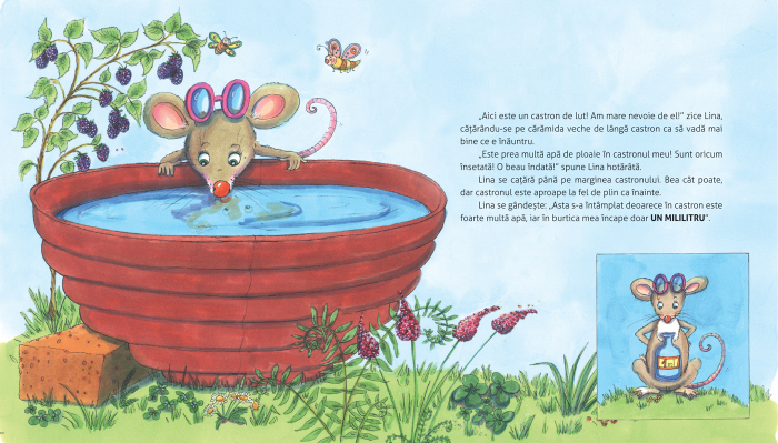 Mult sau putin? Prin joc retin [5]