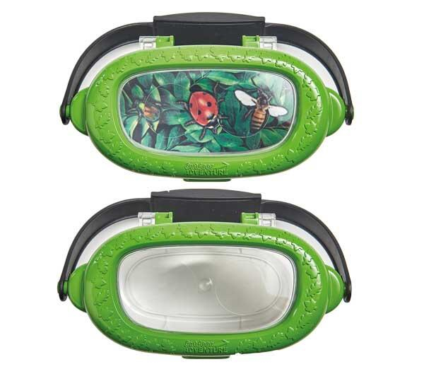 Observatorul pentru insecte, Brainstorm, 6-7 ani + [3]