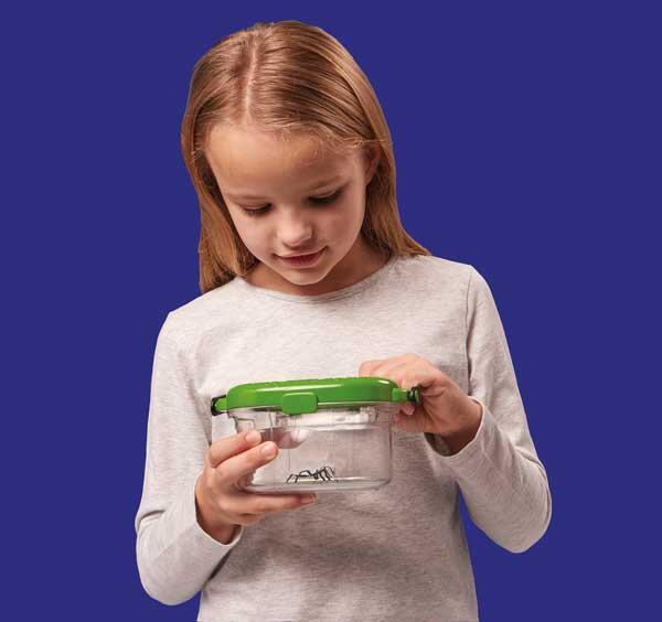 Observatorul pentru insecte, Brainstorm, 6-7 ani + [7]