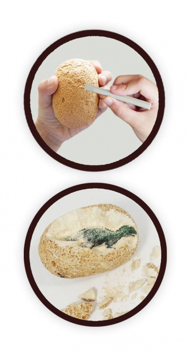 Oua Dino Mega Set x 12, BUKI France, 6-7 ani + [5]