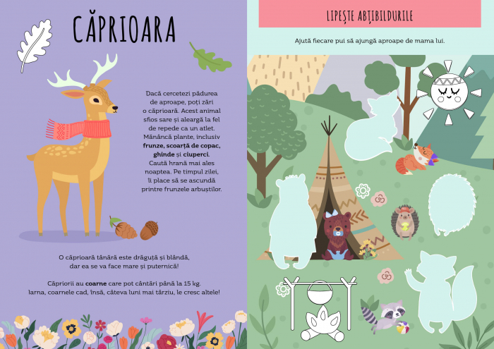 Padurea - Activitati si abtibilduri [3]