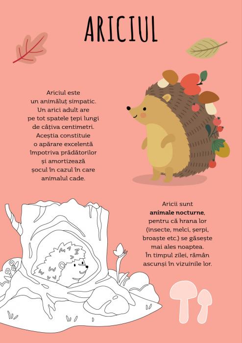 Padurea - Activitati si abtibilduri [5]