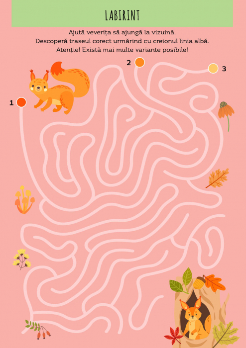 Padurea - Activitati si abtibilduri [4]