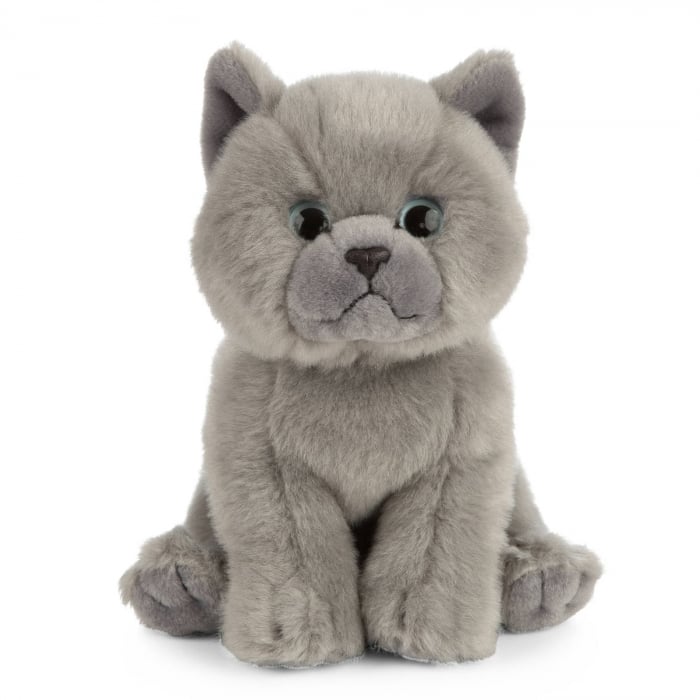 Pisica de plus British Shorthair 16 cm, Living Nature