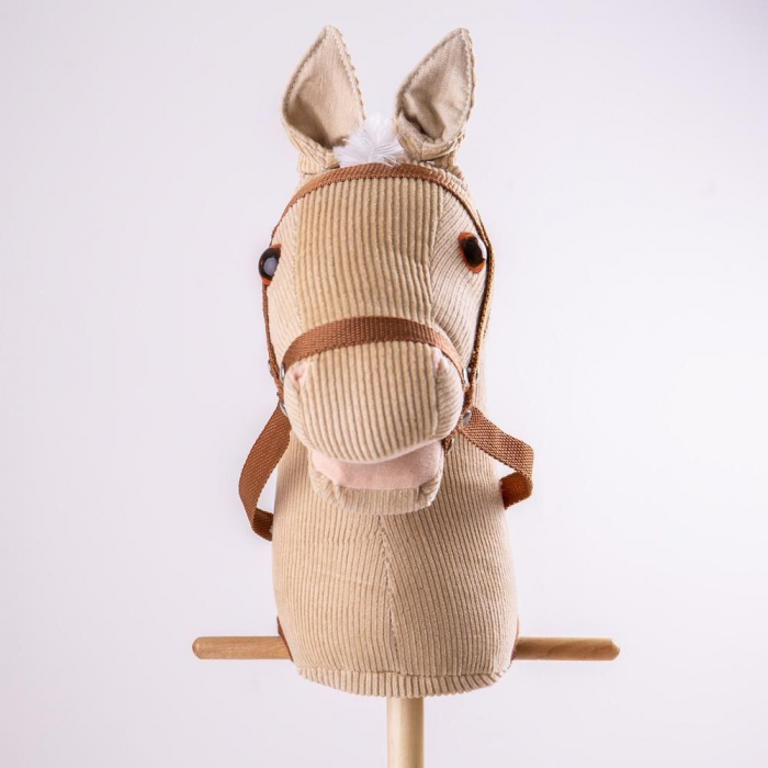 Primul meu calut cu tija, BIGJIGS Toys, 2-3 ani + [5]
