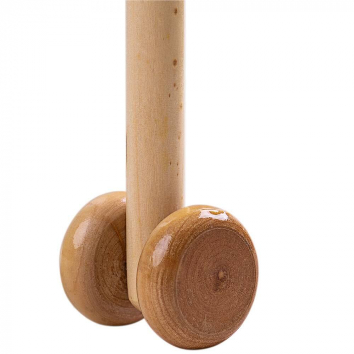Primul meu calut cu tija, BIGJIGS Toys, 2-3 ani + [3]