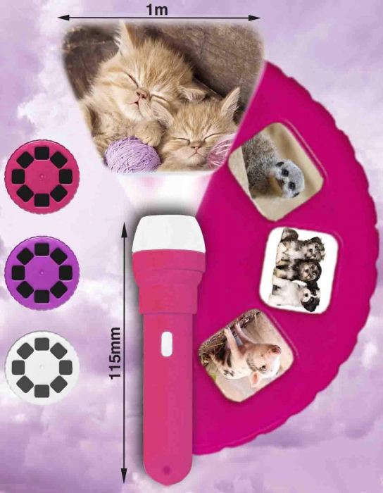 Proiector tip lanterna - Animalute simpatice, Brainstorm, 2-3 ani + [3]