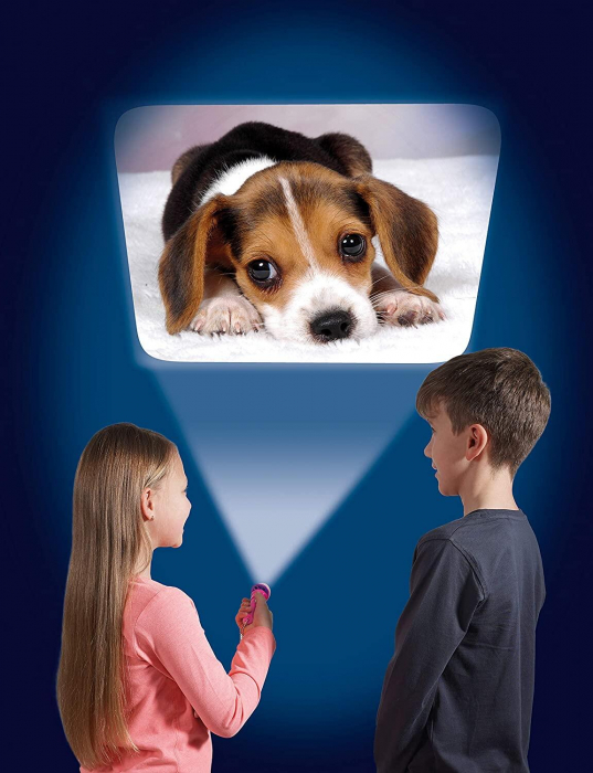 Proiector tip lanterna - Animalute simpatice, Brainstorm, 2-3 ani + [6]