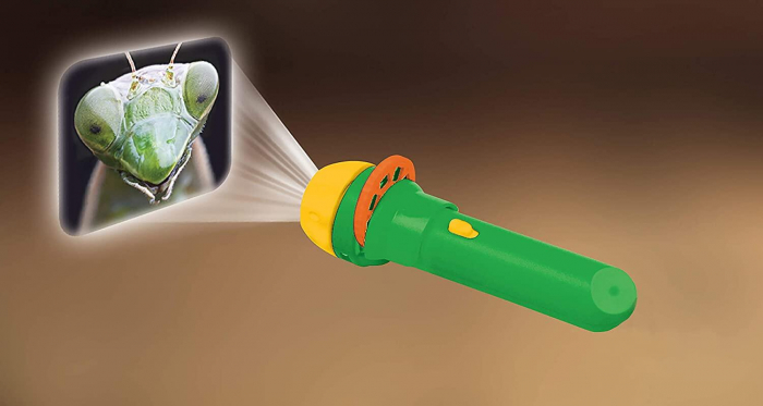 Proiector tip lanterna - Insecte, Natural History Museum, 2-3 ani + [6]