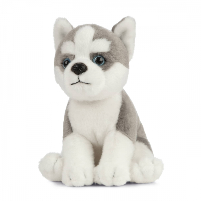 Pui de catel Husky sezut, Jucarie de plus 16 cm, Living Nature [3]