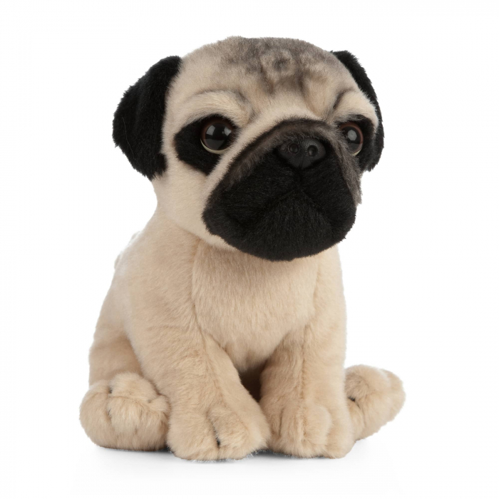 Pui de catelus Pug, Jucarie de plus 16 cm, Living Nature [2]