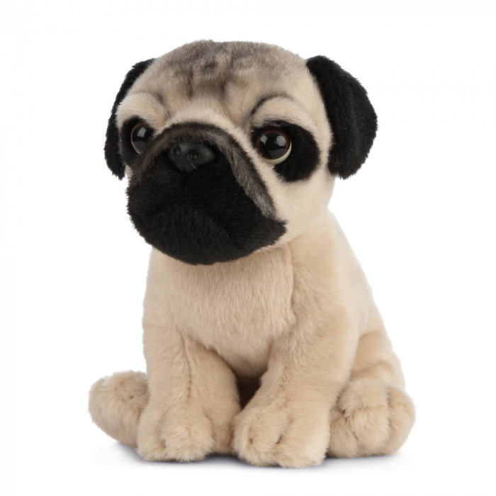 Pui de catelus Pug, Jucarie de plus 16 cm, Living Nature [3]