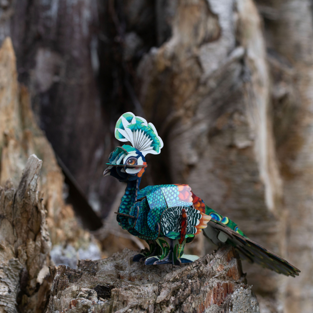 Puzzle 3D cu sunete - Paun, Build  n  Sound [7]