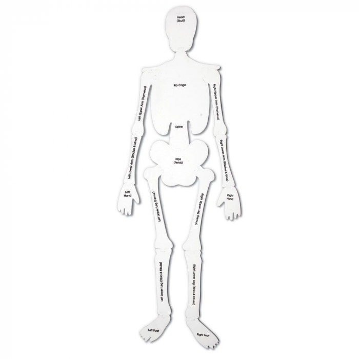 Puzzle de podea - Schelet, Learning Resources, 2-3 ani + [4]