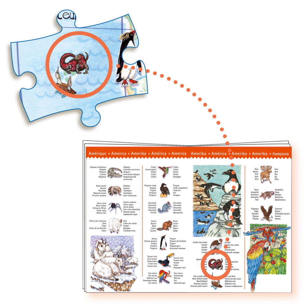 Puzzle observatie Djeco Animalele lumii, 2-3 ani + [5]