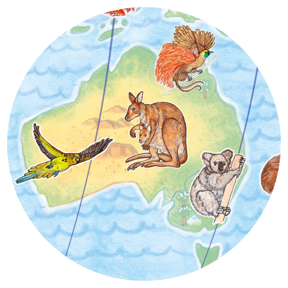 Puzzle observatie Djeco Animalele lumii, 2-3 ani + [4]