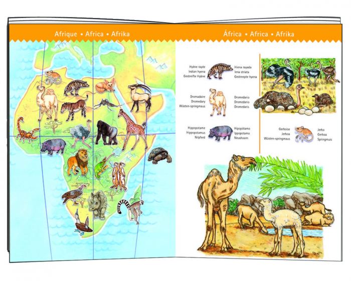 Puzzle observatie Djeco Animalele lumii, 2-3 ani + [2]