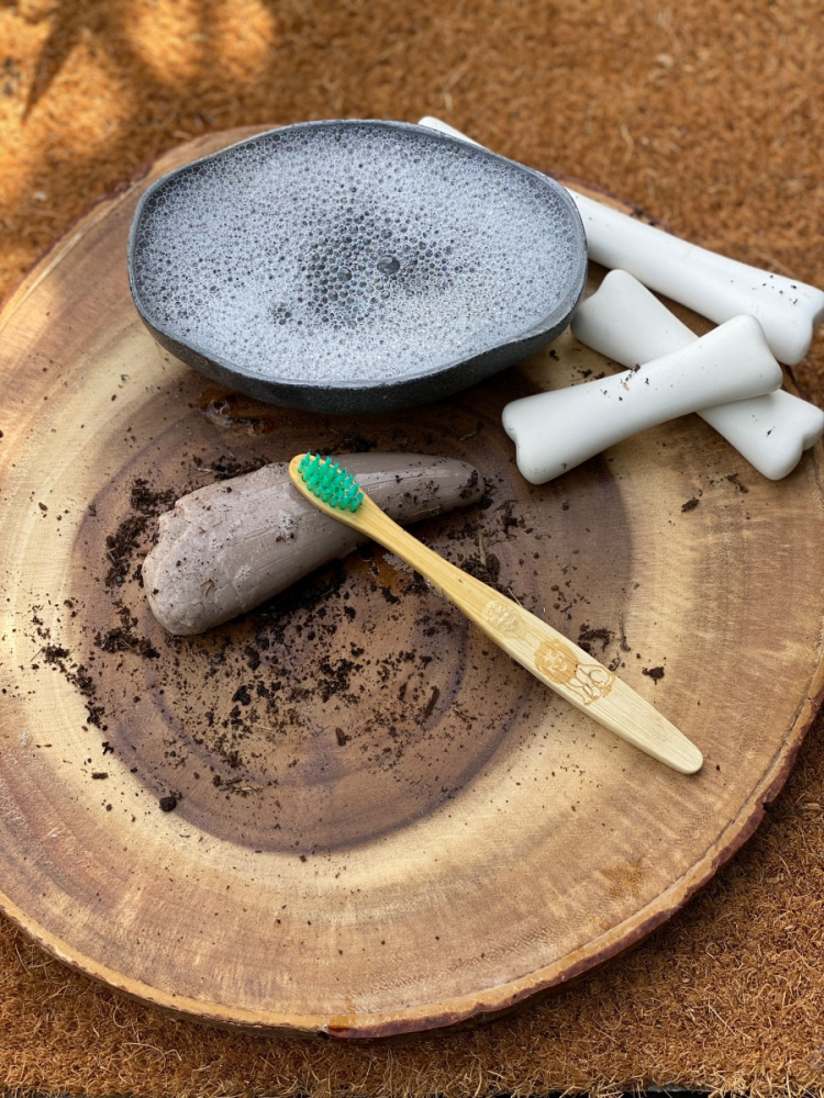 Sa investigam! - Dinti preistorici [5]